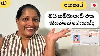 🇯🇵මයි නම්බාකාඩ් එක කියන්නේ මොකක්ද ?🇯🇵