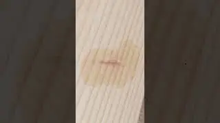 🔥 Remove Dents with Fire | Woodworking tips and tricks-wood repair #shorts #woodworking #fire #asmr