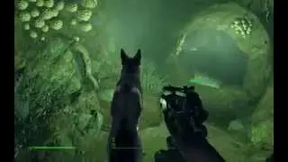 FALLOUT 4 ►SPECIAL◄ Kampf-Hundef&uuml;hrerschein&trade; &equiv; Fallout 4 Tipps & Tutorial Deutsch