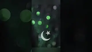 14 august whatsapp dp😊 best dpz for 14😍 new and latest dpz #whatsappdp #14august #dp #bismaaofficial