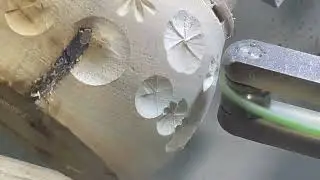Dome Chuck for Ornamental Turning