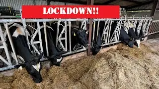 Disaster strikes - ITS T.B.