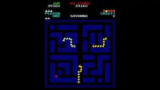 Savanna [Arcade Longplay] (1982) Olympia