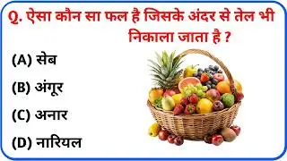 General Knowledge || Gk Questions || Gk In Hindi || Gk Quiz || Gk ke sawal || #gkstudy#gkchallenge 