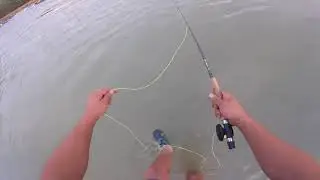 Yellow fish fly fishing, orange river 2 in 7 min.