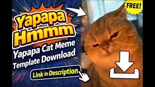 Yapapa hmm yapapa cat meme and template with green screen || Download Link in Description ||