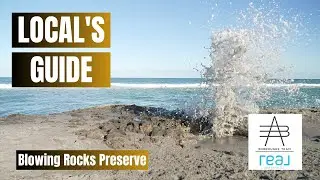 Blowing Rocks Preserve | One of the most dramatic shorelines in South Florida!
