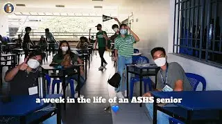 Неделя из жизни старшего сотрудника ASHS (ABM, Strand Day Edition)