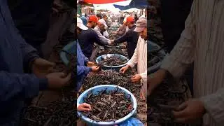 animals selling in traditional market in asia #asmr #animal #Market