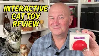 Smart Cat Toy Review