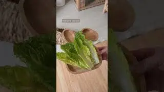Safe and Tasty Vegetables and Herbs to Feed Your Rabbit | Pet Diet and Nutrition | Bunny Rabbit Diet