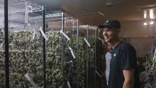 Respect My Region and House of Cultivar Present: '7 Days A Week' Limited Strain
