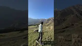#gunji #dharchula #pithoragarh