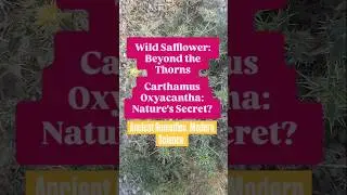 Wild Safflower Secrets | Natural Health Doctor 🌿 #naturalhealth #usa