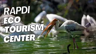A day in my life | Rapdi Eco Tourism Center | Patna Bird Sanctuary | Agra Nearby Places to visit 😇
