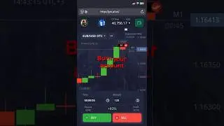 Discipline in Trading &mdash; The Secret to Winning in Binary Options #TradingDiscipline #BinaryOptions
