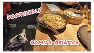 Restaurante comida asiática en Madrid con perro - miperritacharlotte MPC