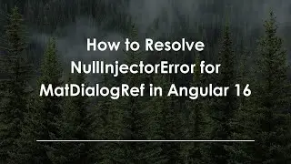 How to Resolve NullInjectorError for MatDialogRef in Angular 16