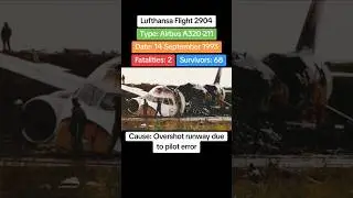 Lufthansa Flight 2904 crash on 14th September 1993 #airdisaster #planecrash #lufthansa #aircrash