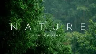 The World Is Fake - Nature (Official Audio)