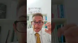 Sverminazione del cane, se e quando farla