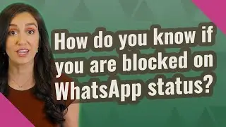 How do you know if you are blocked on WhatsApp status?