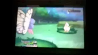 Evolution de Chenipan shiny/Clawziter shiny
