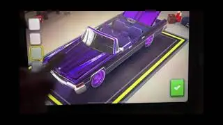 Car grapes Purple Chrome Valley Custom Garage 
