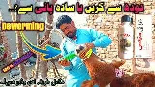 Goats & Calf Deworming 💉 | Keeray Khatam Karne Ka Safe Tareeqa | Trimax
