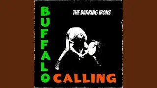 Buffalo in the Rare Old Times
