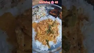 Minivlog #48 #recipe #cooking #kitchen #tamil #shorts #lifestyle #family #day #30jul25