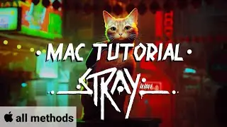 Play Stray On Mac M1 / M2 + Intel (All Methods)