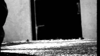 The Cricket's Revenge (Silent Short Film)