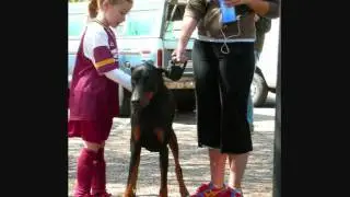 Dog Training Utah