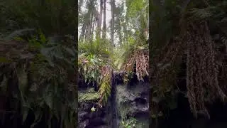 Fairy Realm
