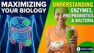Maximizing Your Biology - Understanding Enzymes, Pre/Probiotics & Bacteria  for Optimal Gut Health