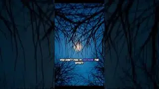 #facts The Moon Affects You More Than You Think