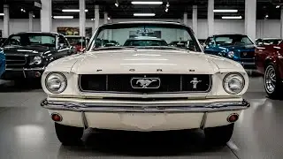 Abandoned Mustang's Hidden History | A Classic Car's Untold Story