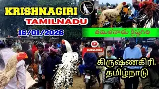 TAMILNADU KRISHNAGIRI KUNDARAPALLI FRIDAY HEN MARKET