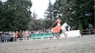 Spectacle équestre espagnol (Garrocha - Haute école - Doma Vaquera)