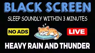 🔴 Live Heavy Rain and Thunder Sounds for Sleeping | Black Screen | Sleep Soundly Within 3 Minutes