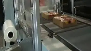Trays Noodle Wrapper Continuous Motion - Continuous Motion Bundling Systems