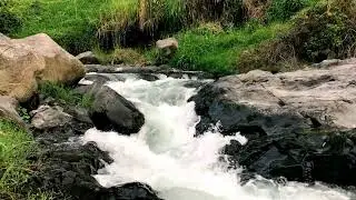 Peaceful Jungle River &ndash; For Quiet Mind, Harmony & Better Sleep