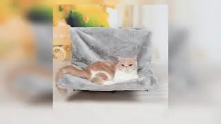 Hanging Bed for Cats