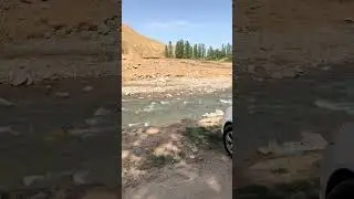 18 августа 2024 г.