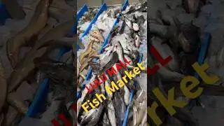 LULU Mall - Fish Market@ Hyderabad