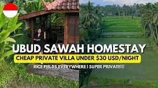 Cheap Bali Private Villa | Ubud Sawah Homestay Villa Tour + Private Airport Transfers