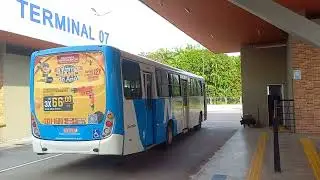 Movimentação Dos Ônibus De Manaus No Terminal 7 No Tarumã