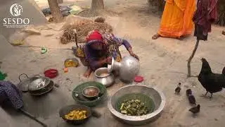 World Water Day - 2025 !! Climate Change Induced Water Crisis in Gabura - SESDO Bangladesh !!