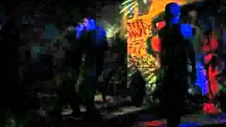 Decima Legion  ~.Viral Party.~